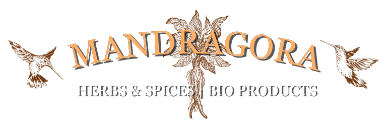 Mandragora Home